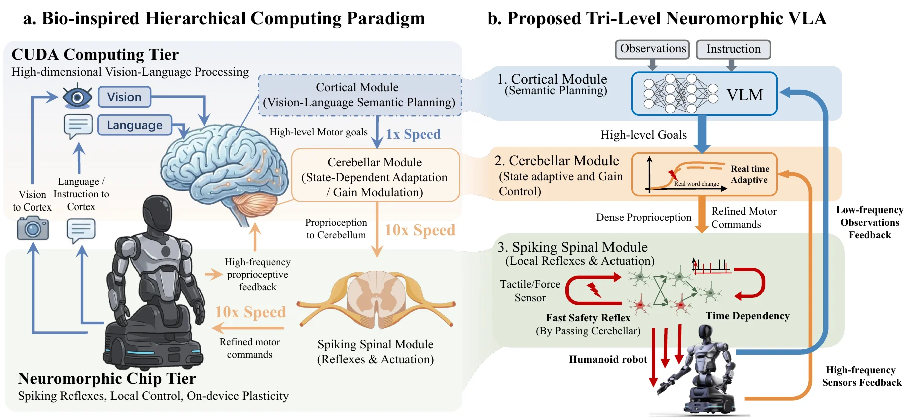 The framework of NeuroVLA